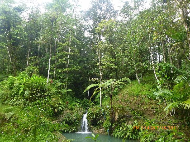 Busay falls 3