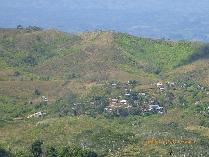 View 1