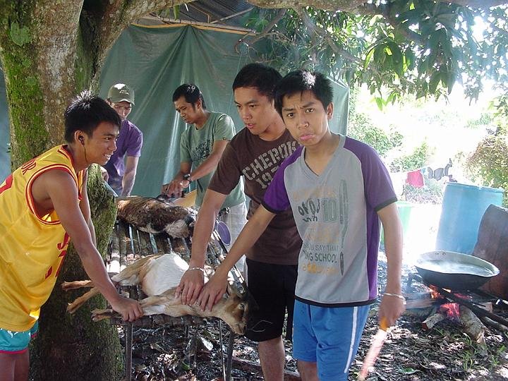 Goats to be slaughtered for the Common Meal