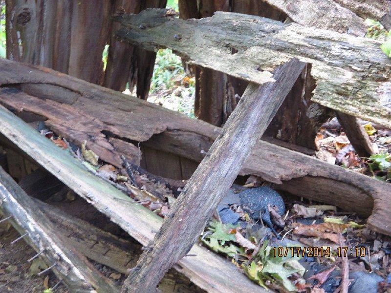 Old Outhouse-family seating for three