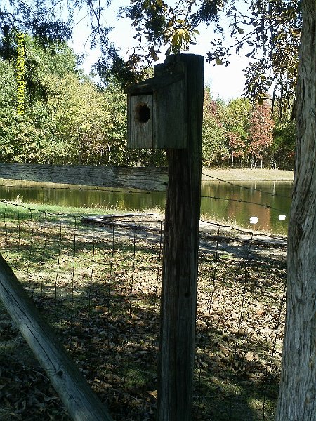 Bird feeder 1067x800