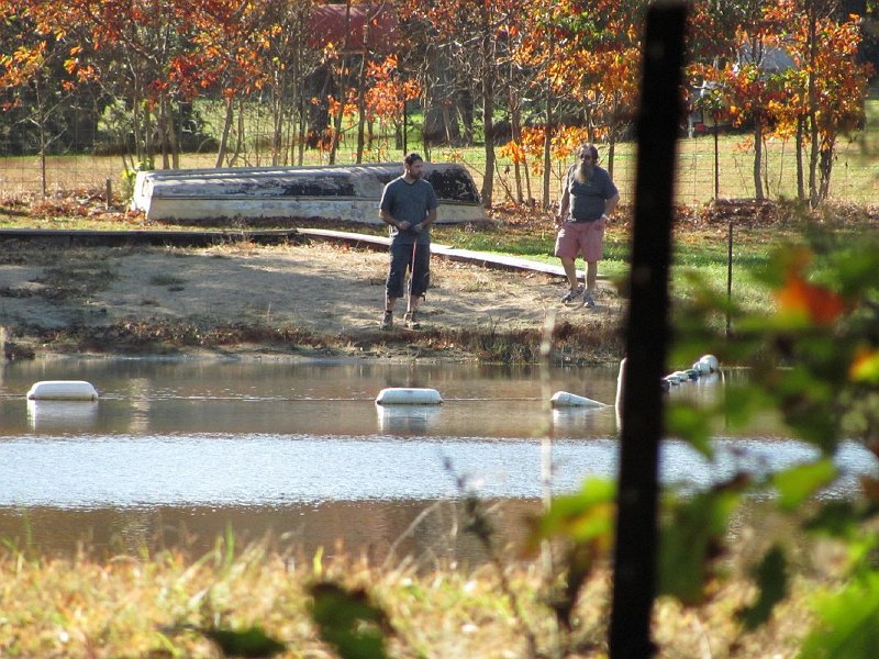 Looking for the fish 1067x800