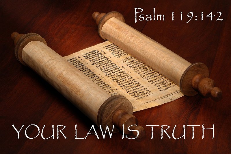 Your Law Projector Banner 1204x800