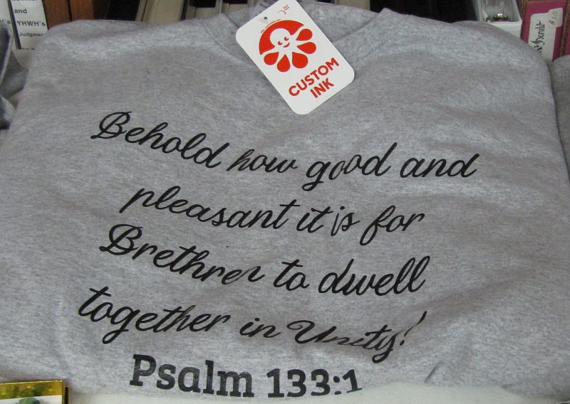Shirt 1600x1135