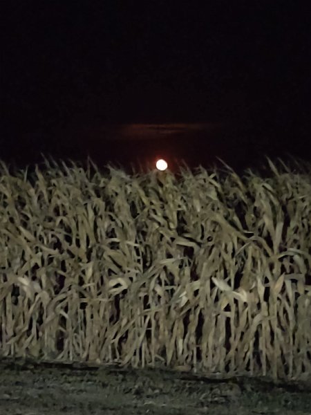 Blood Moon