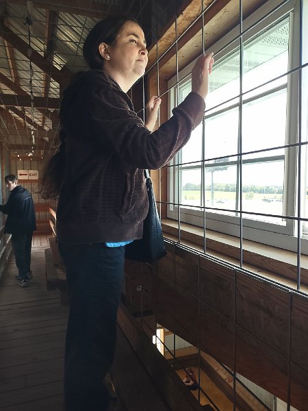 Overview of Maze and Pillow1