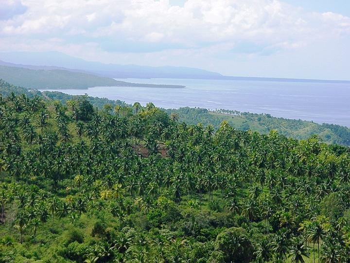 View from front of the worship house
